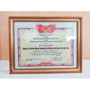 VIII. Giấy chứng nhận, bằng khen